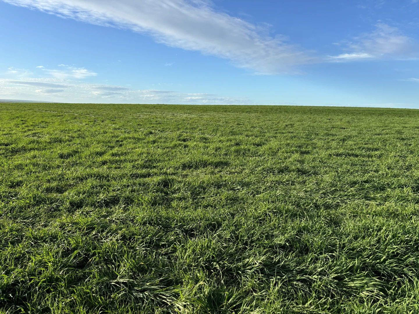 Additional image 10 of Section 82 Chilmans Road, Port Neill SA 5604