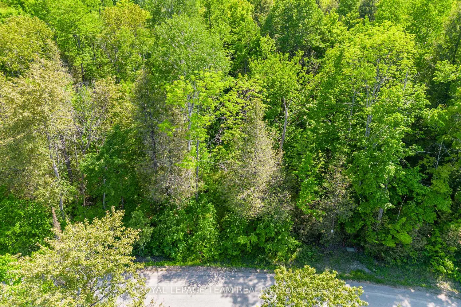 Additional image 9 of 02 Mink Lake Road