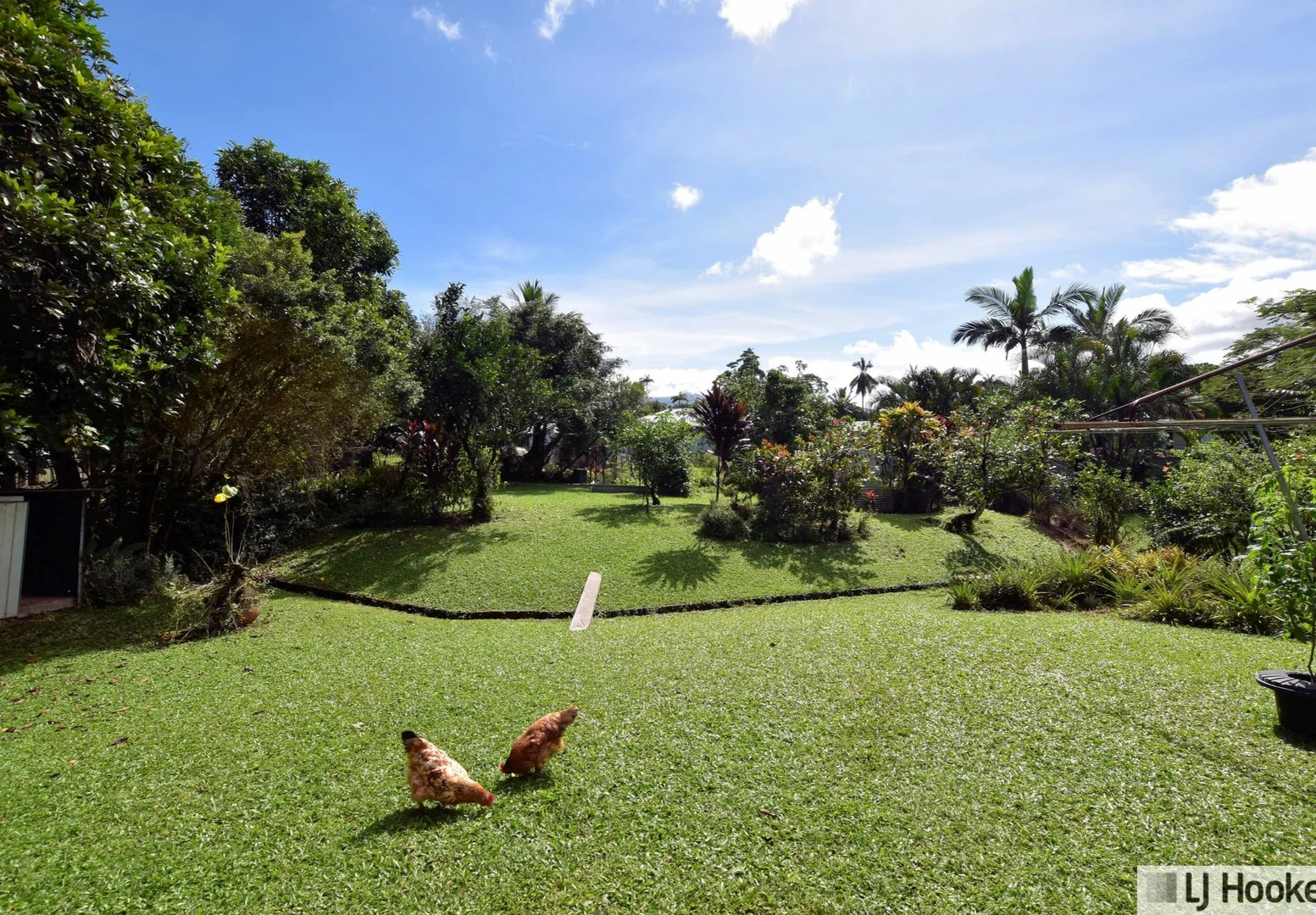 Additional image 22 of 14 Webb Street, Tully QLD 4854