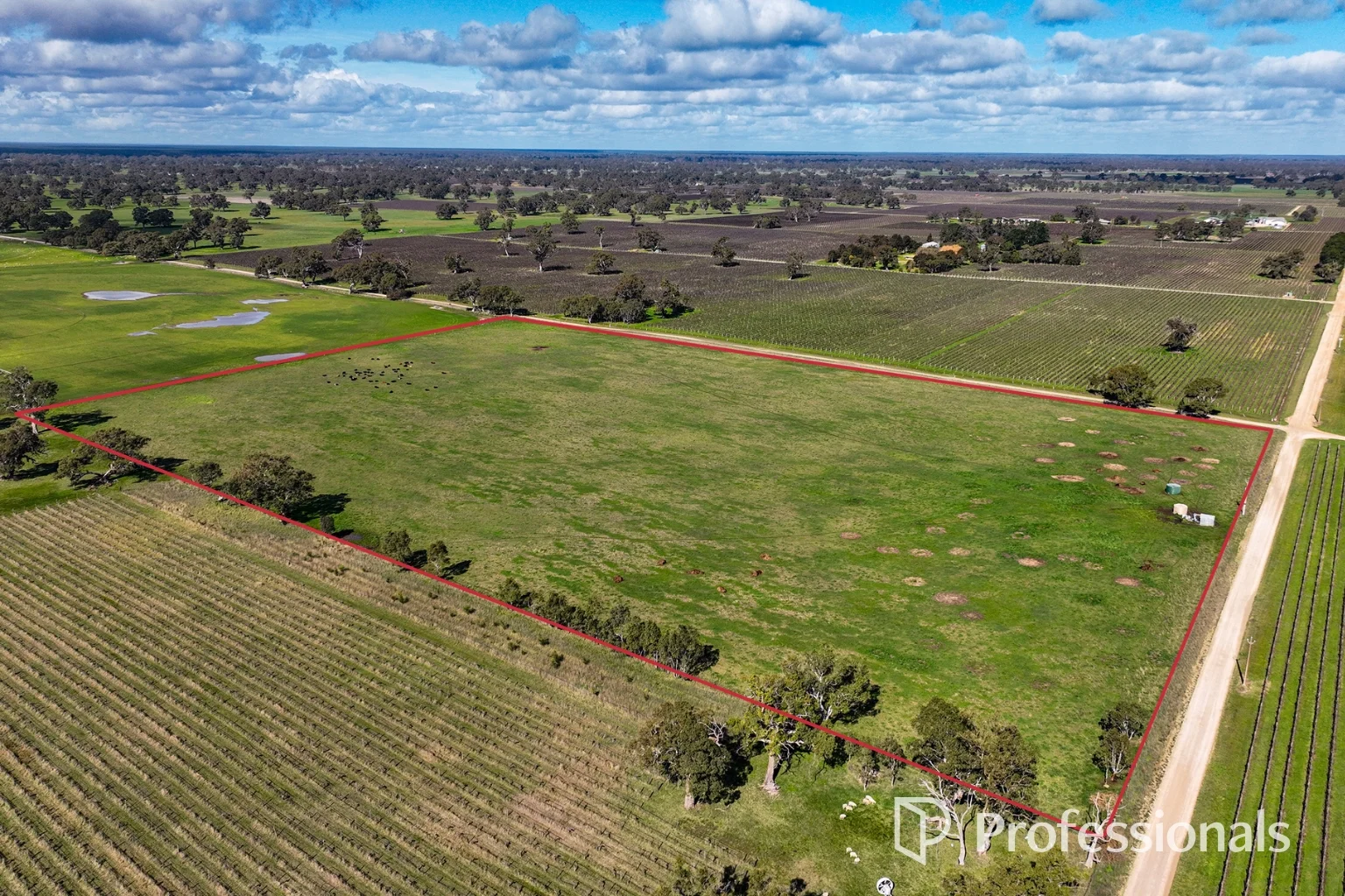 Additional image 3 of Lot 439 Richardson Road, Coonawarra SA 5263