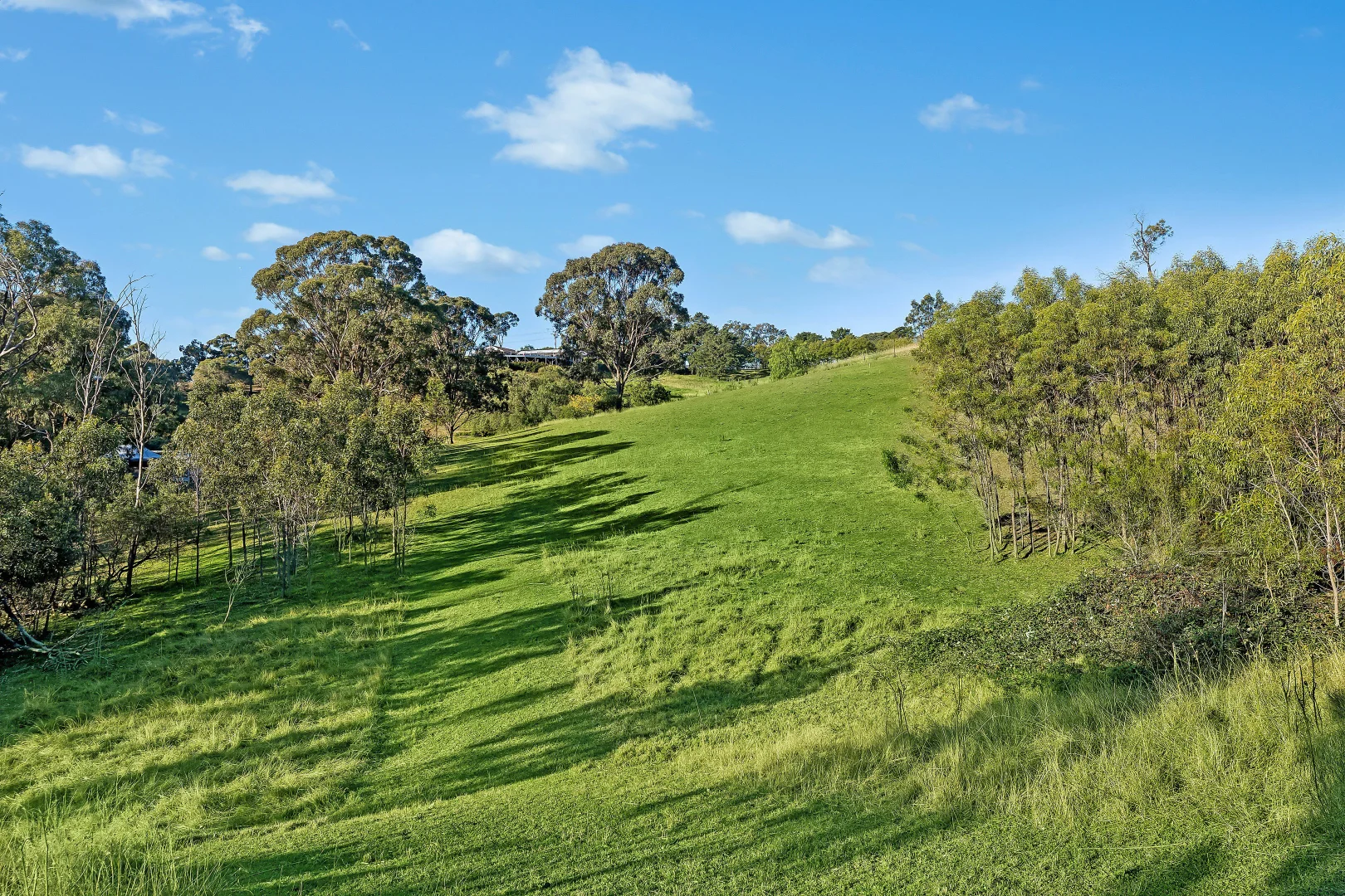 Additional image 8 of 276 Carrolls Road, Menangle NSW 2568