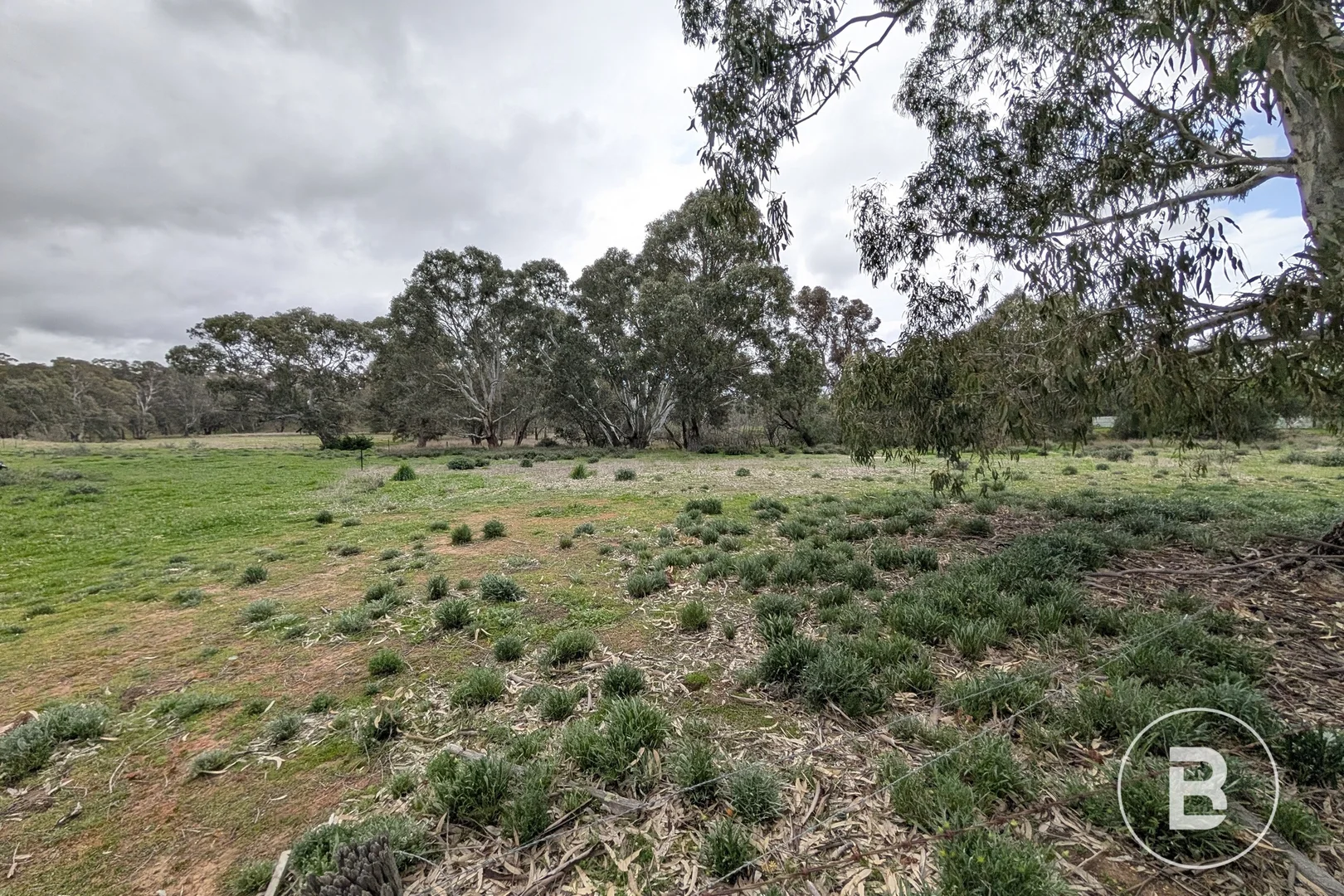 Additional image 5 of 17 Main Street, Bealiba VIC 3475