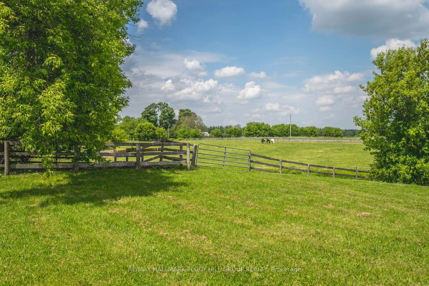 Additional image 17 of 8464 6Th Line