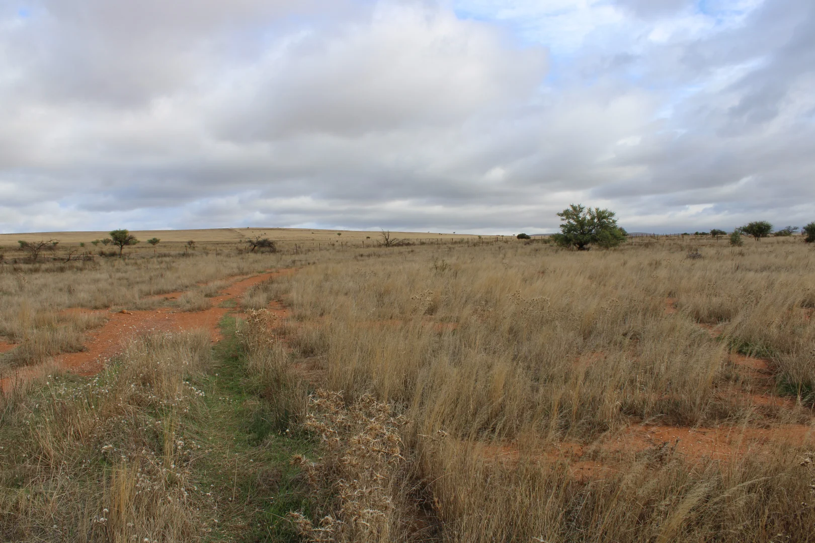 Additional image 49 of 1860 Cleary Road, Terowie SA 5421