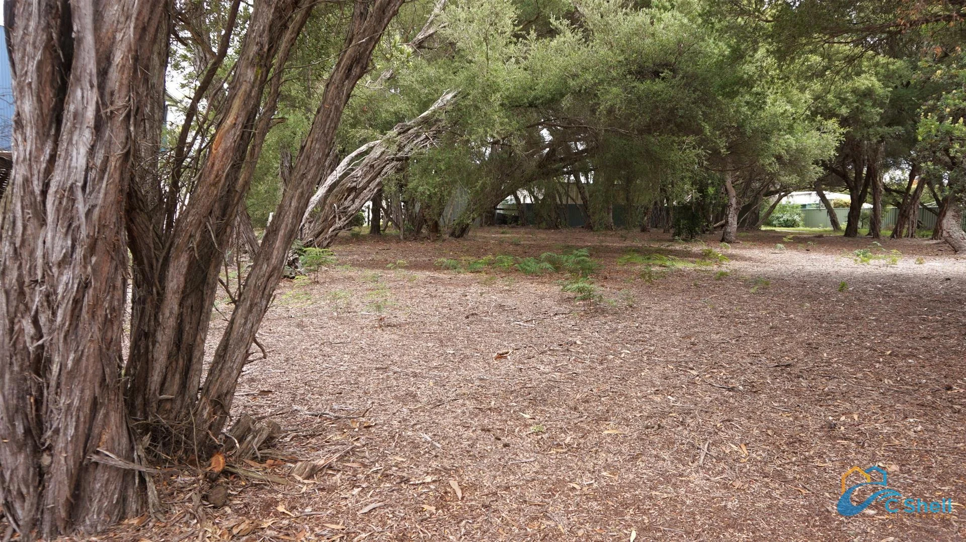 Additional image 5 of 25 Carroll Street, Loch Sport VIC 3851