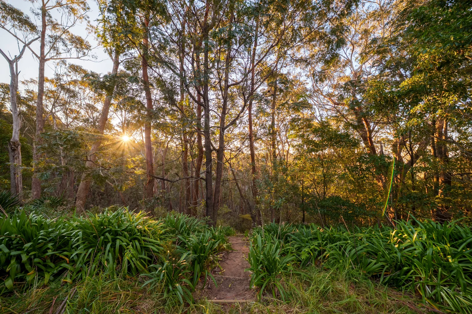 Additional image 4 of 66-68 Henderson Road, Wentworth Falls NSW 2782