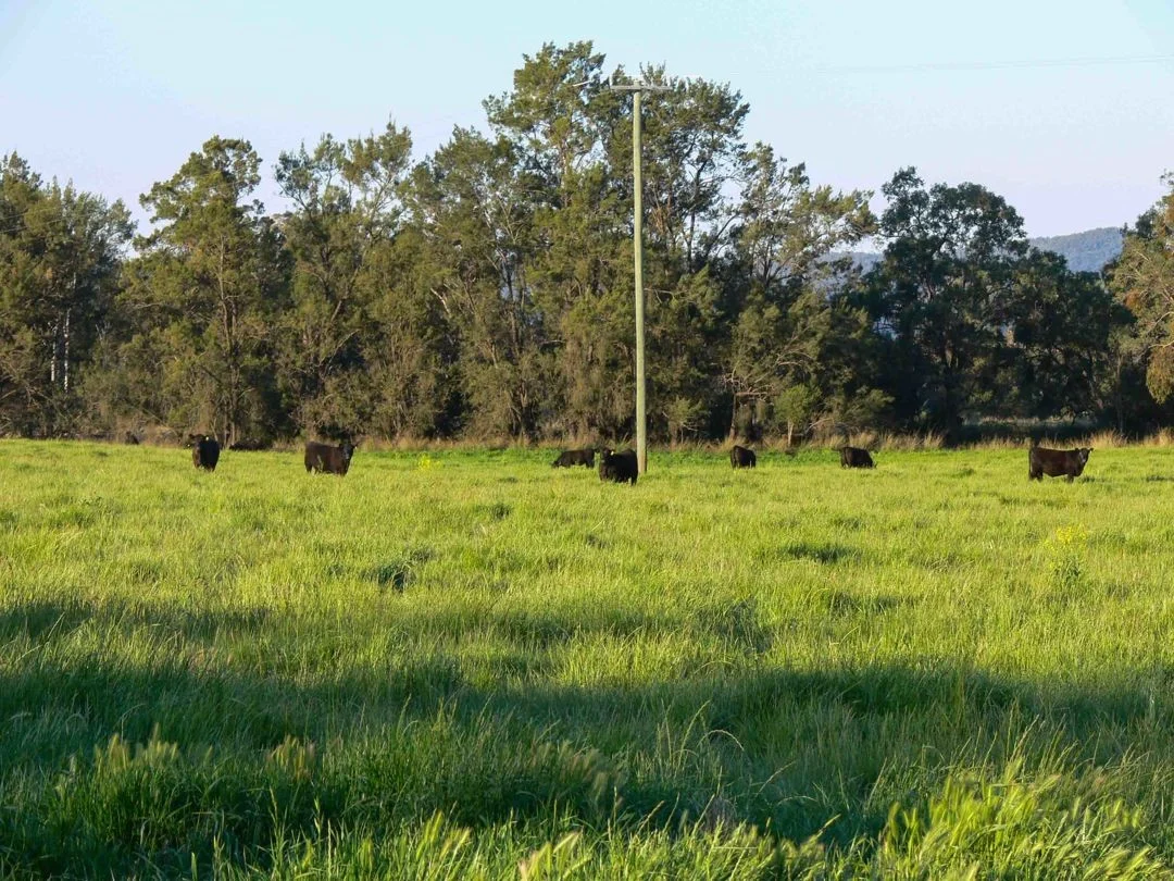 Additional image 9 of The Glen, Berrigal NSW 2390