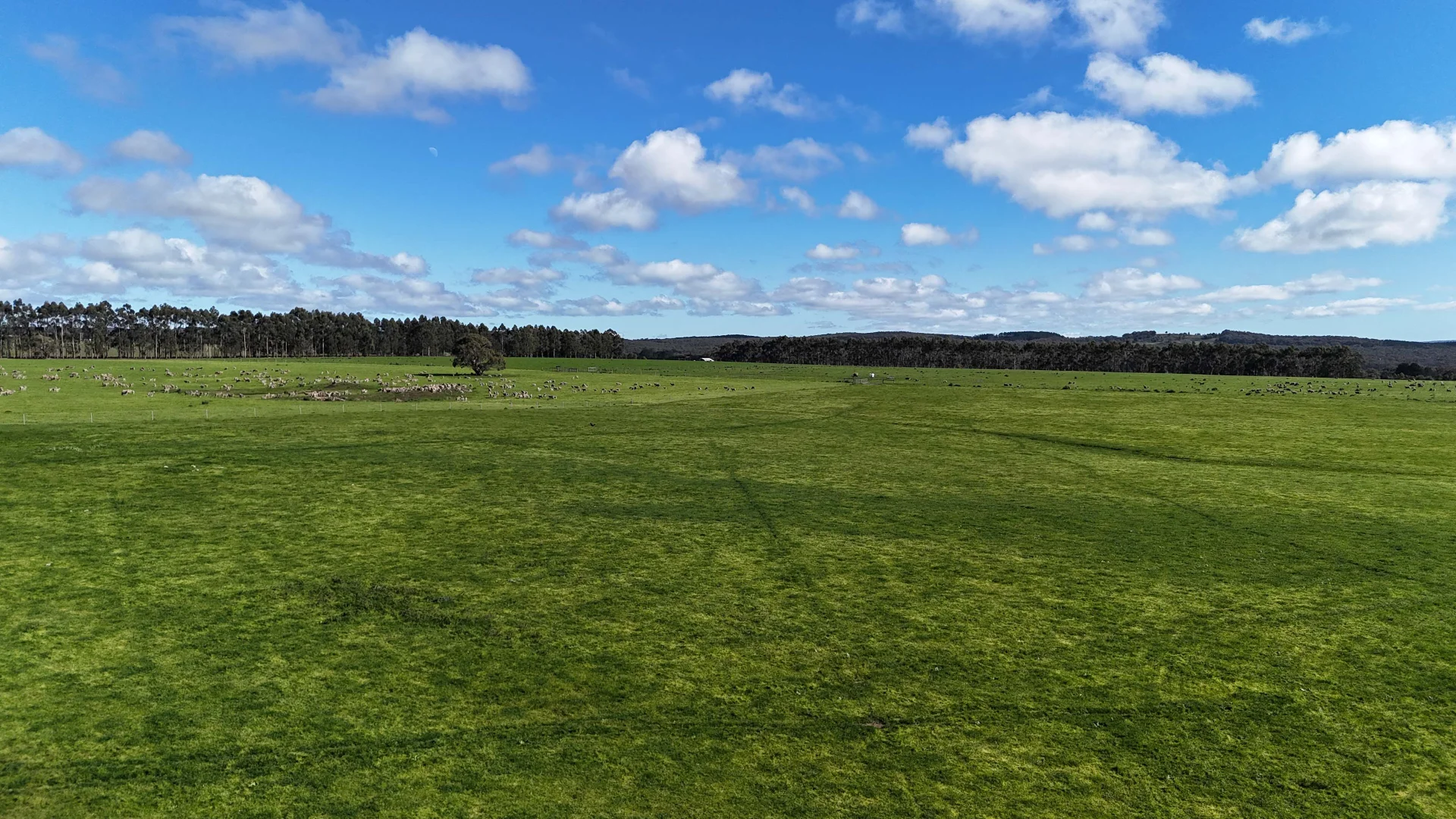 Additional image 6 of 1 McDonalds Lane, Ballan VIC 3342