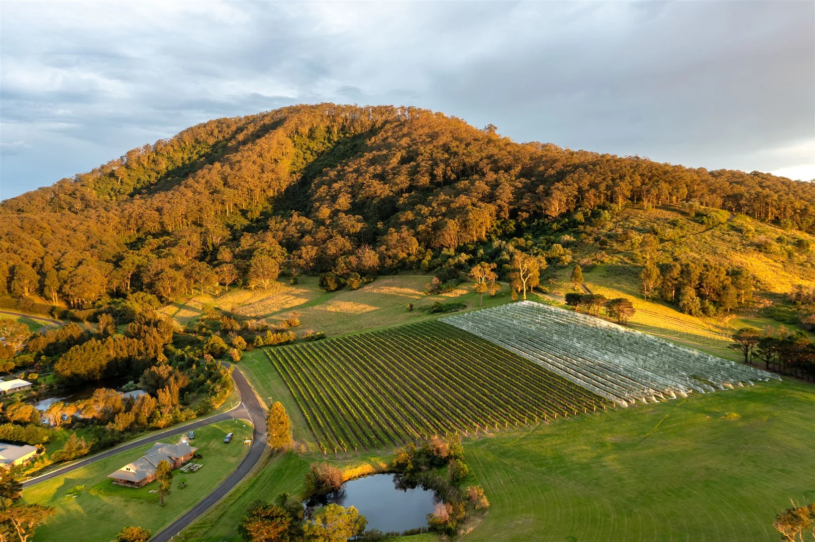 Additional image 6 of 1335 Bolong Road, Coolangatta NSW 2535