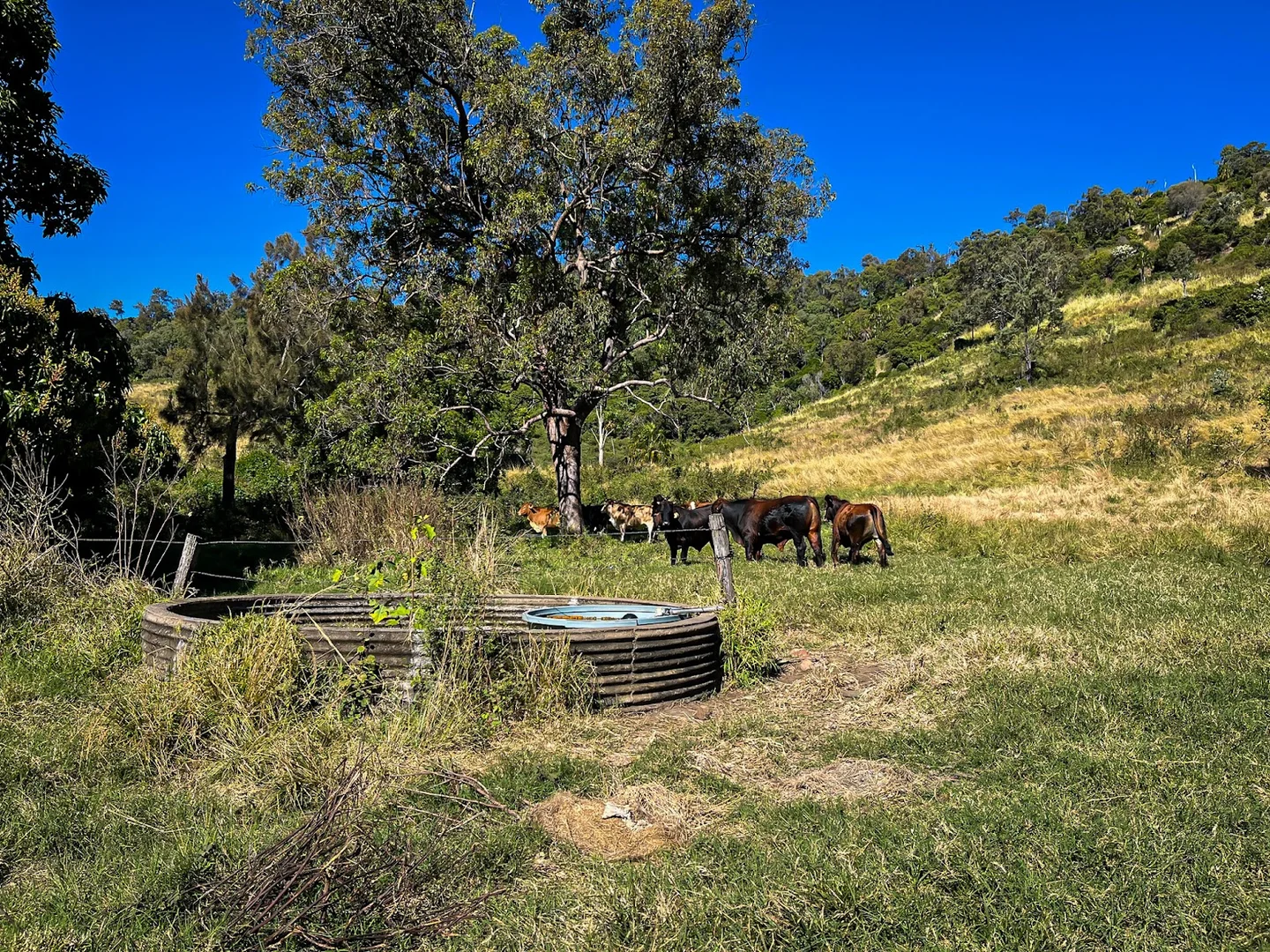 Additional image 14 of 2549 Gympie Woolooga Road, Widgee QLD 4570