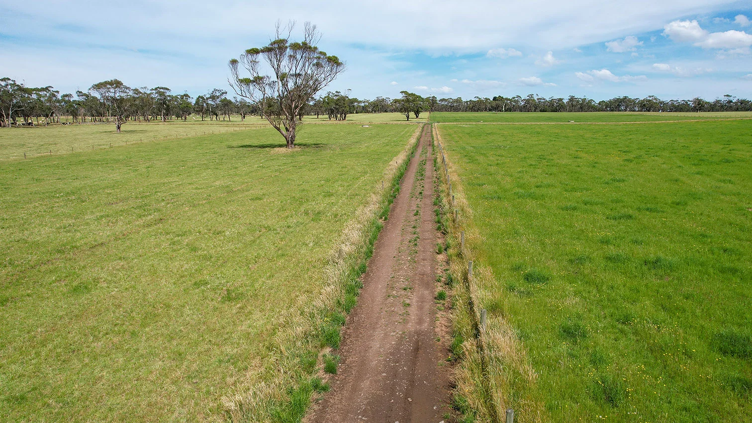 Additional image 17 of 211 Rollos Road, Panmure VIC 3265