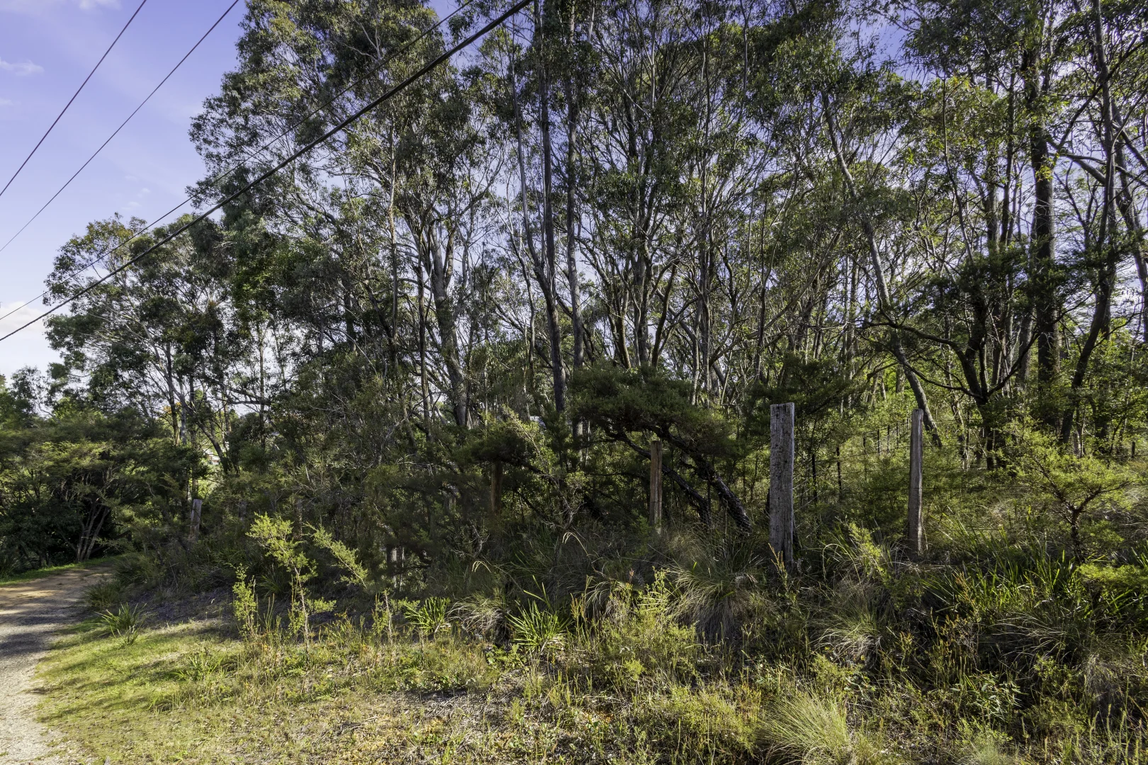 Additional image 5 of 5 Cleopatra Street, Blackheath NSW 2785