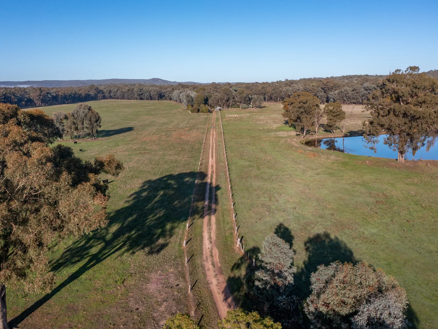 Additional image 4 of 242 Frost Road, Killawarra VIC 3678