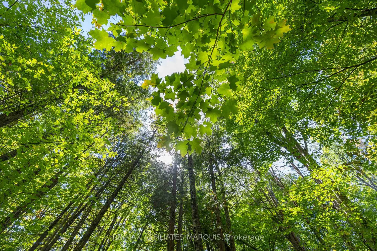 Additional image 6 of 19112 Hwy 7 Highway