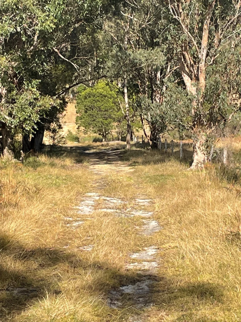 Additional image 4 of Lot 16 Gilgurry, Rivertree NSW 2372