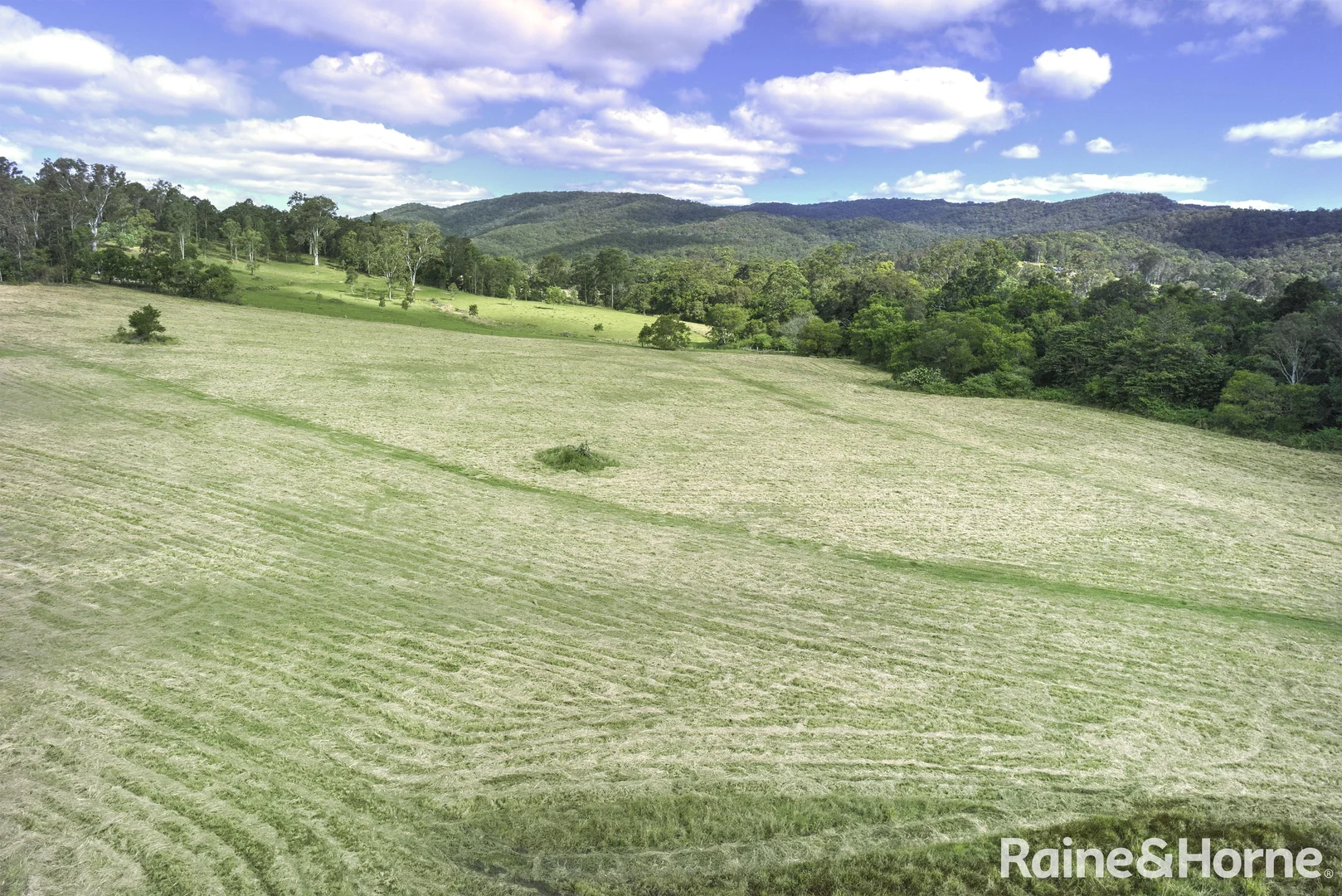 Additional image 10 of 163 Cedar Creek Road, Belli Park QLD 4562