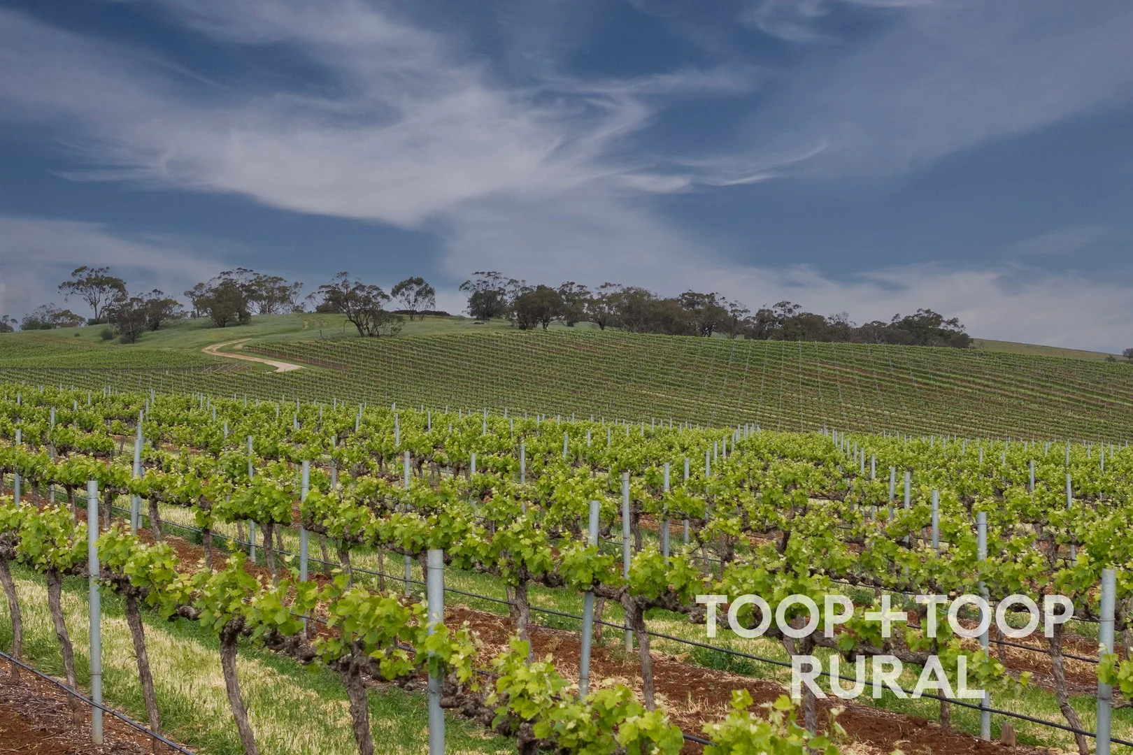 Additional image 33 of 87 Sir Condor Laucke Way, Greenock SA 5360