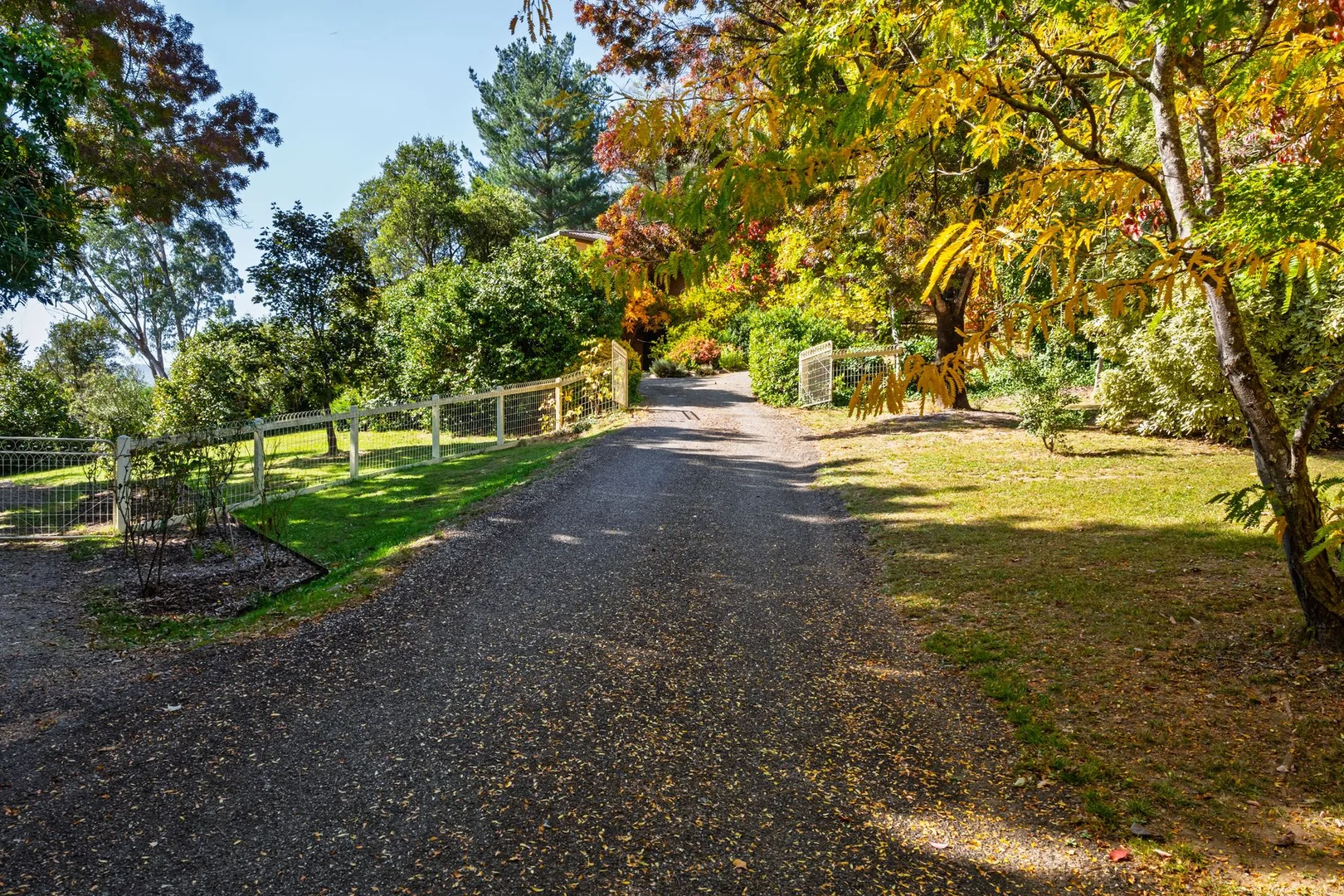 Additional image 41 of 22 Alrima Court, Bright VIC 3741