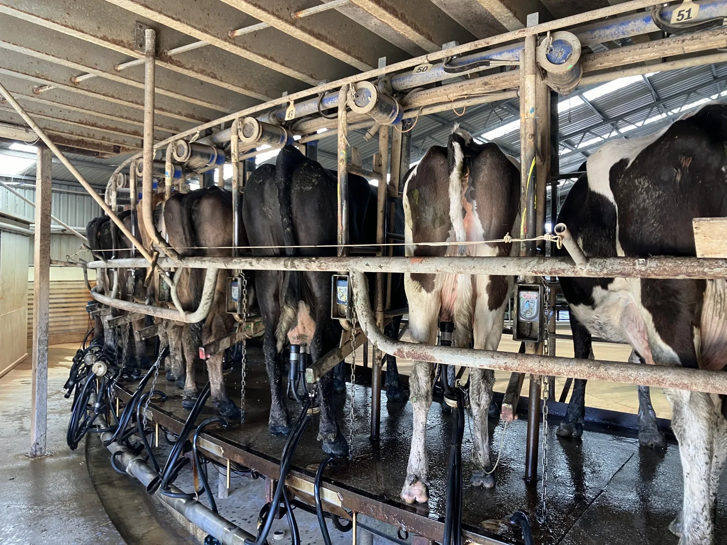 Additional image 15 of 301 Woolnorth Road, Woolnorth TAS 7330