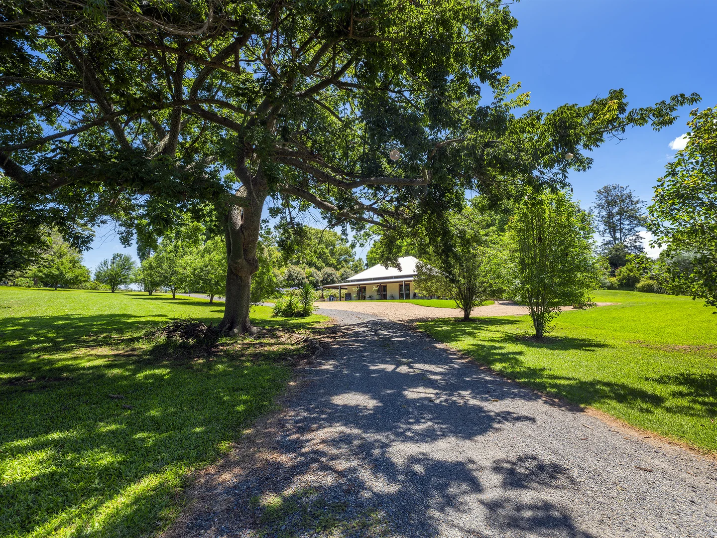 Additional image 6 of 224 North Bank Road, Bellingen NSW 2454