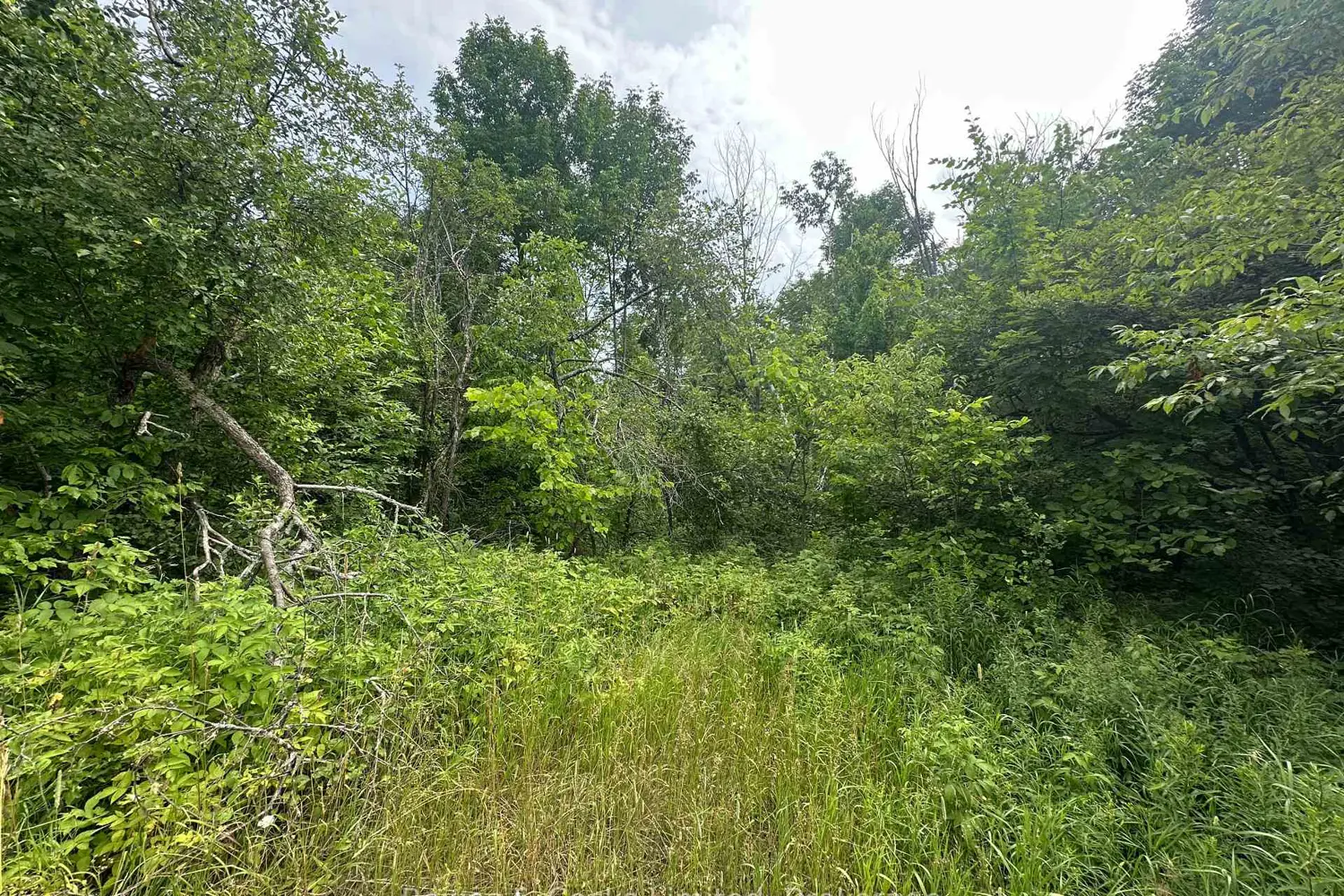 Additional image 3 of 0 Centre Line Road