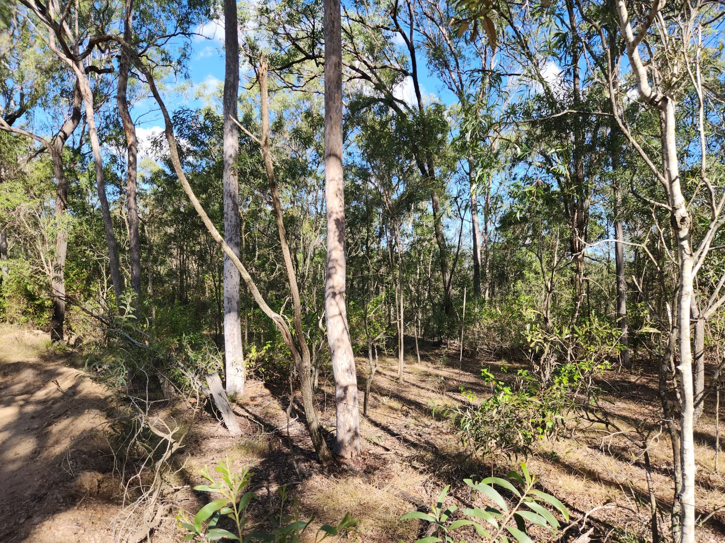 Additional image 2 of Lot 5 Duckpond Road, Moolboolaman QLD 4671