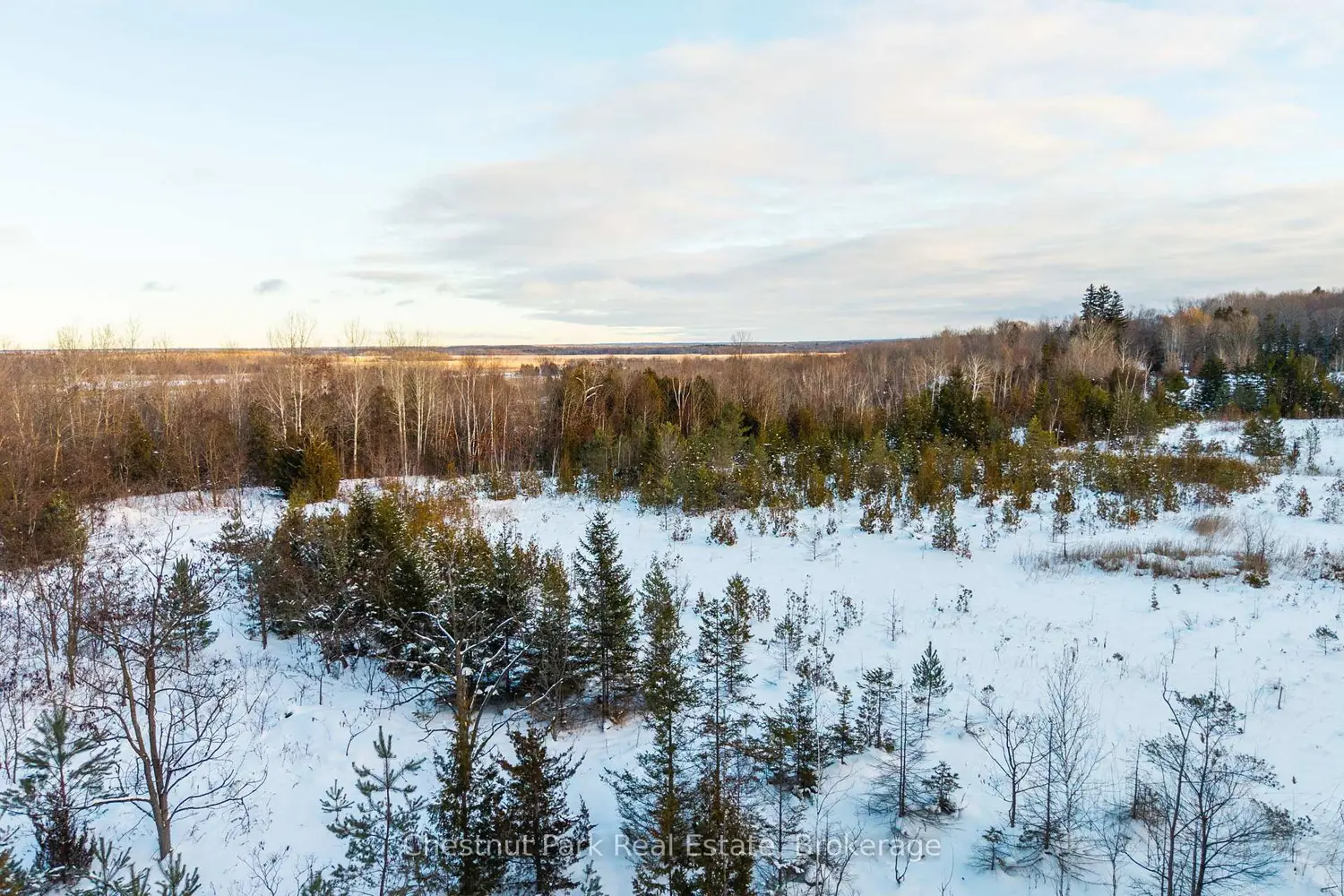 Additional image 16 of 2970 Fesserton Side Road