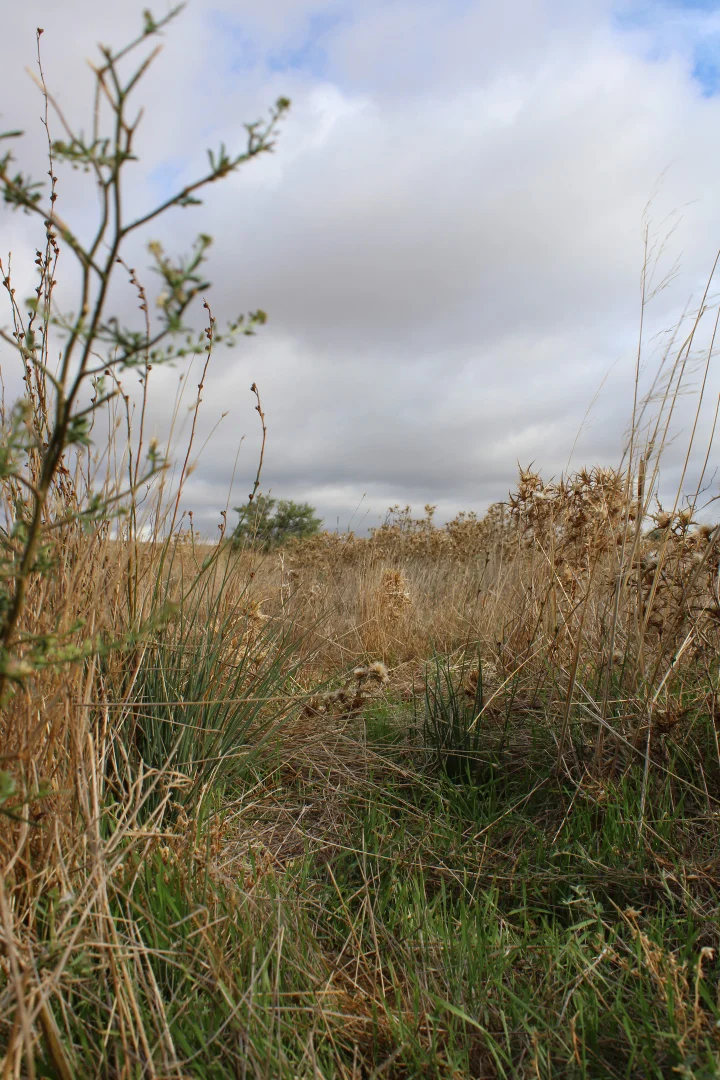 Additional image 51 of 1860 Cleary Road, Terowie SA 5421