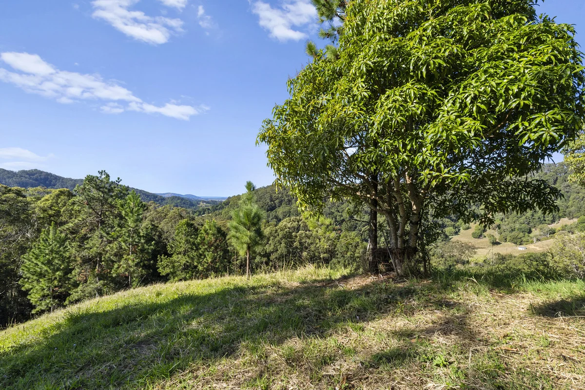 Additional image 11 of 536 Cudgera Creek Road, Cudgera Creek NSW 2484