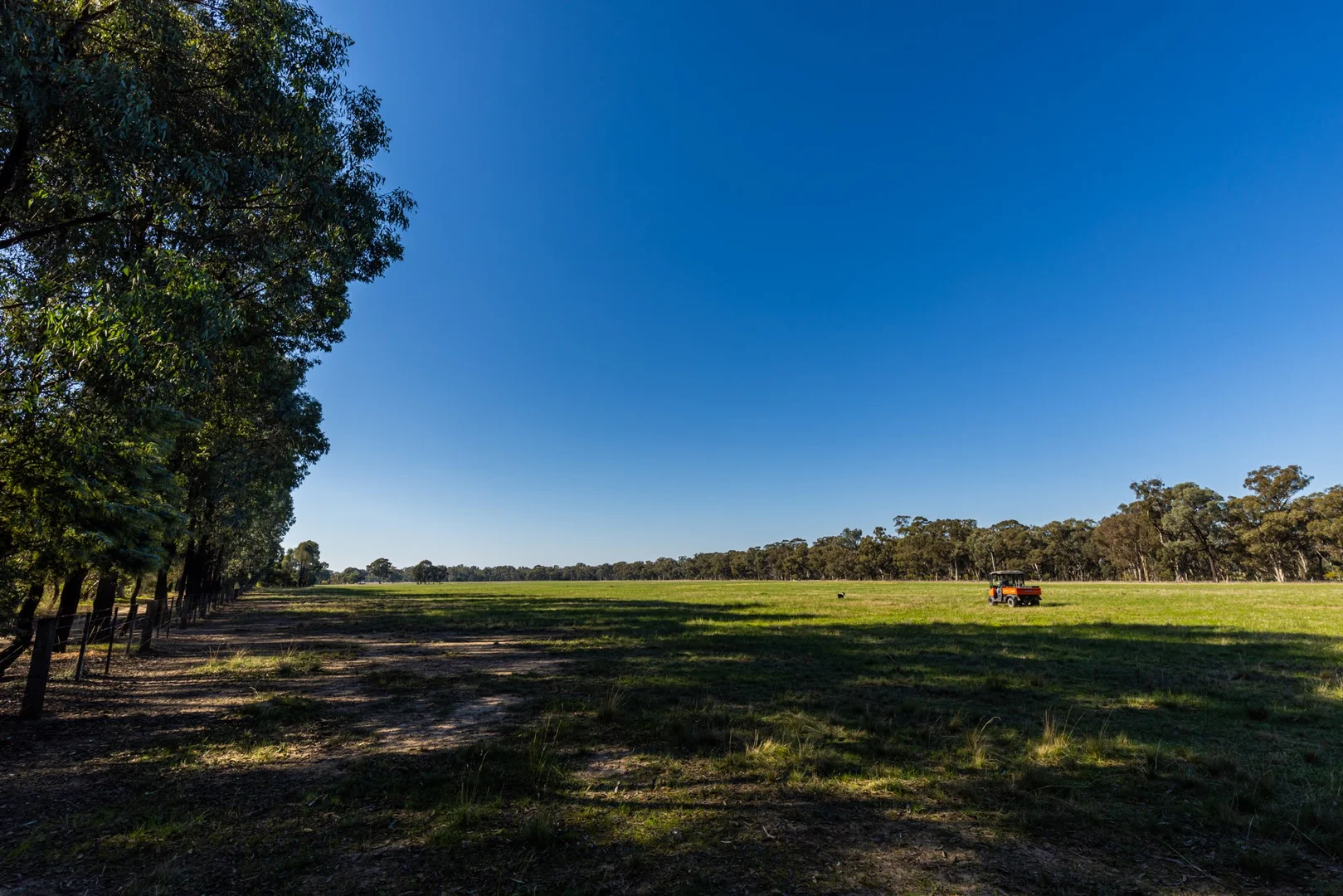 Additional image 12 of 242 Frost Road, Killawarra VIC 3678