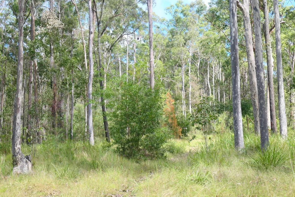 Additional image 2 of Lot 5 Long Gully Road, Drake NSW 2469