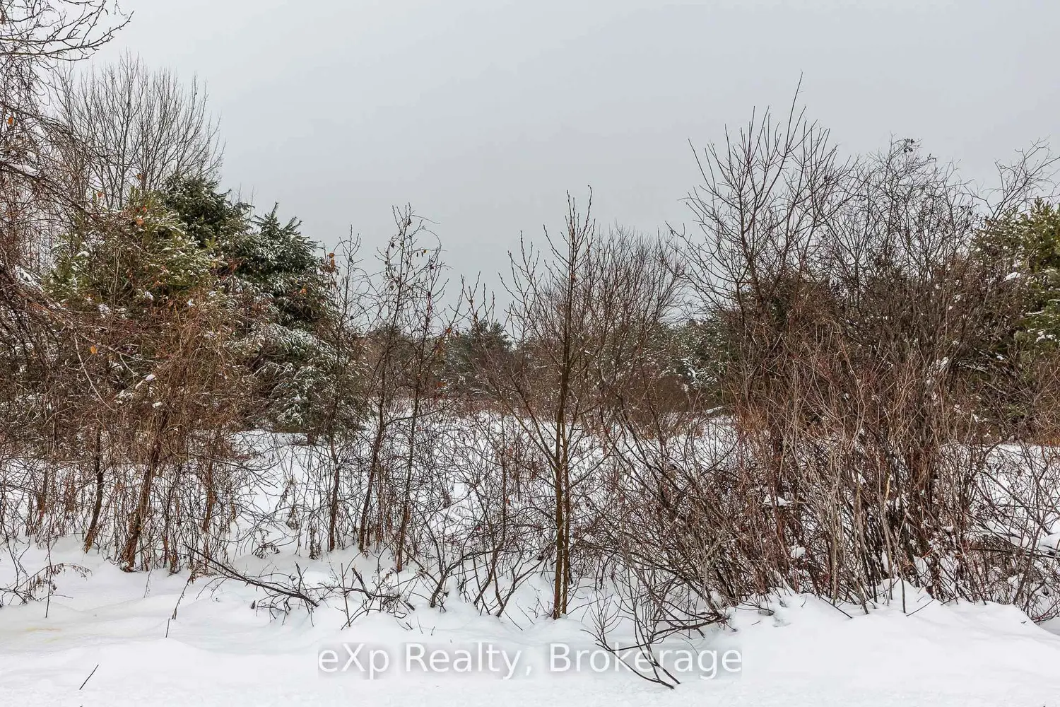 Additional image 9 of 5716 County Road 9