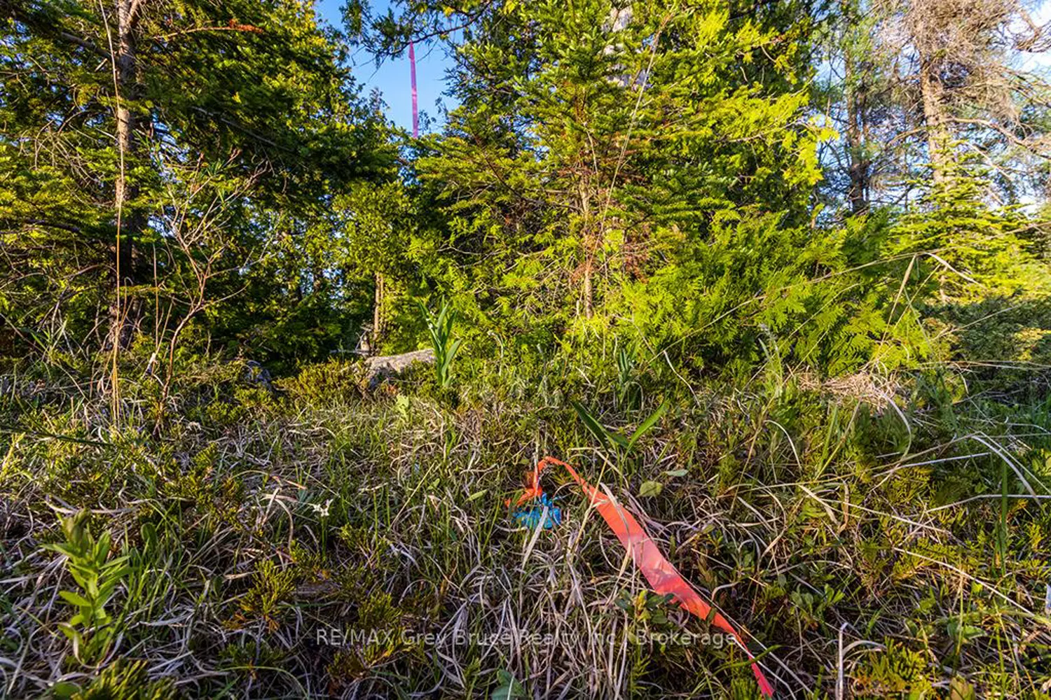 Additional image 11 of Unit 39 Tamarac Road