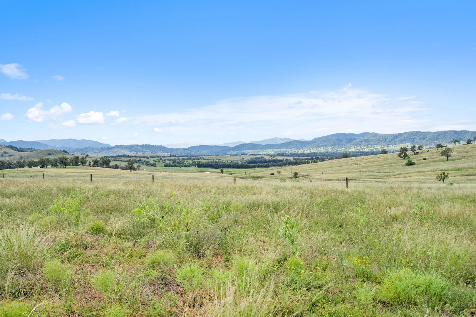 Additional image 10 of Bakewell Circuit, Scone NSW 2337