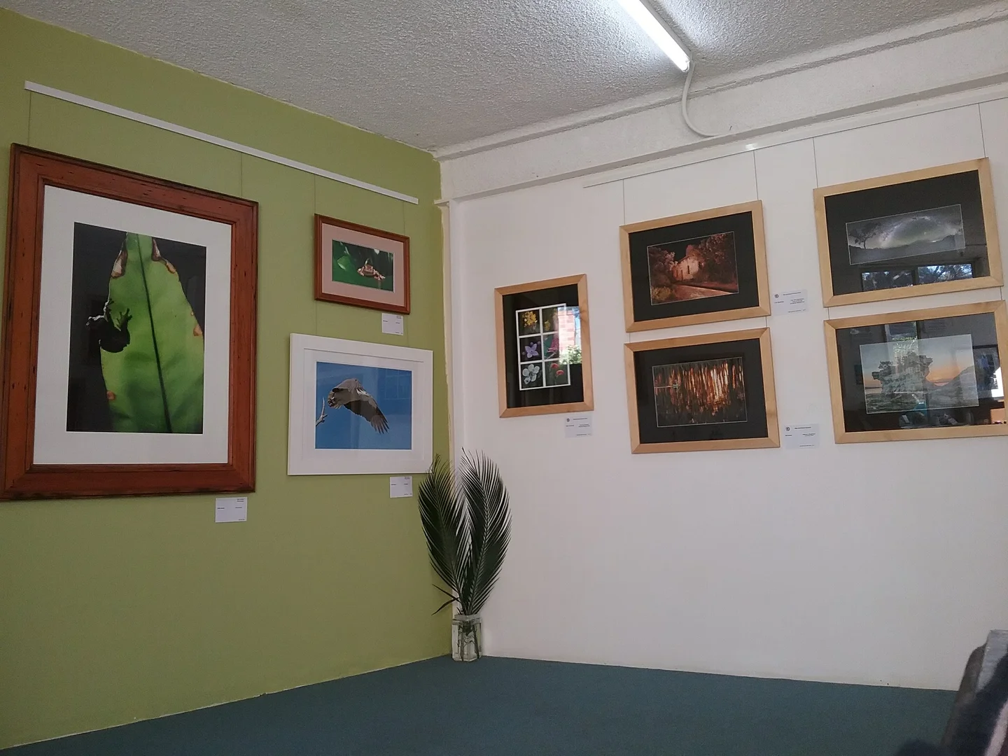 Additional image 10 of 272 Greville Ave, Sanctuary Point NSW 2540