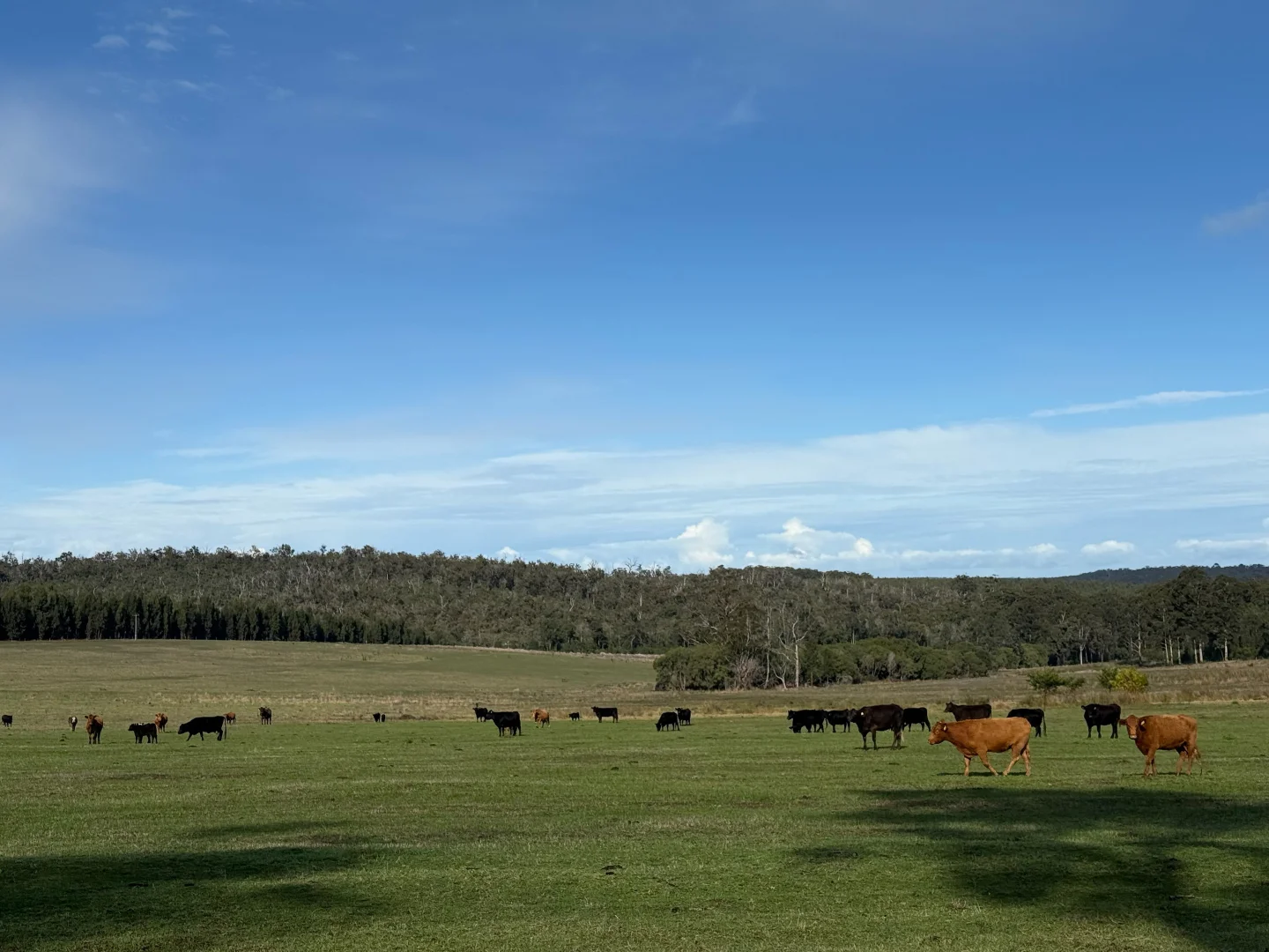 Additional image 18 of 228 Peppermint Grove Road, Middlesex WA 6258