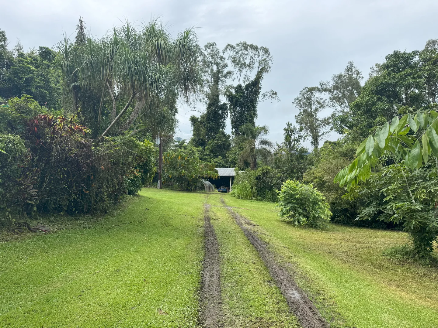 Additional image 14 of Gillies Range Road, Little Mulgrave QLD 4865