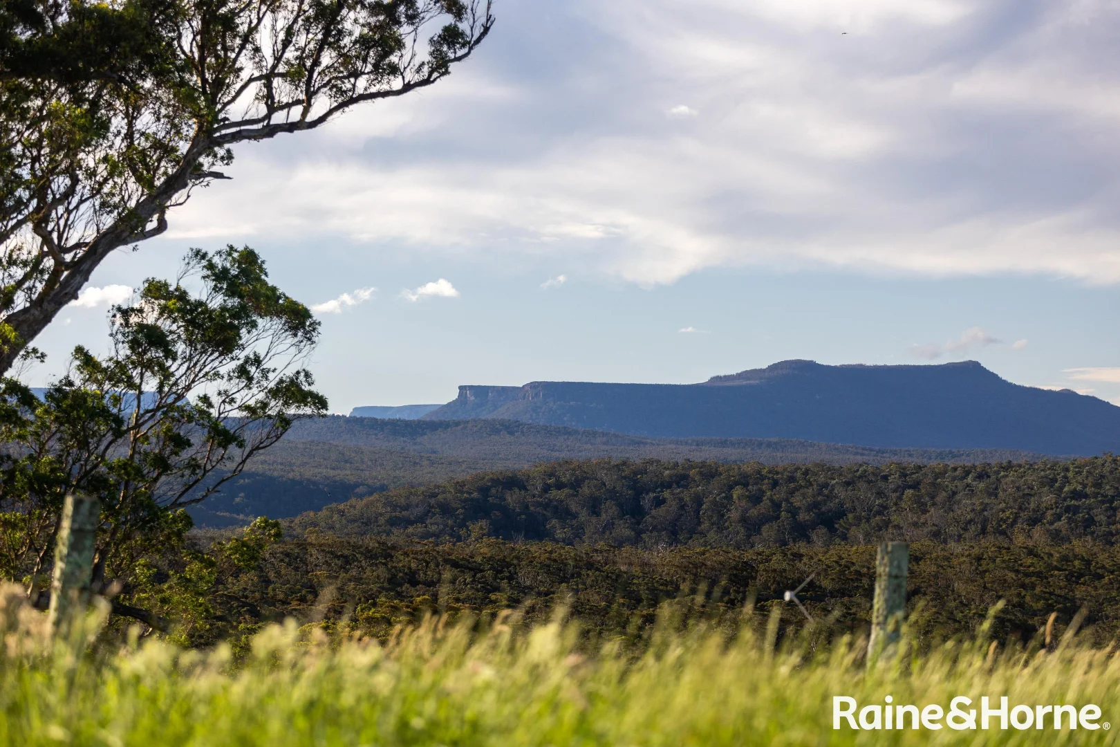 Additional image 9 of Lots 1-4, 265-266 Mimosa Park Road (via Milton), Morton NSW 2538