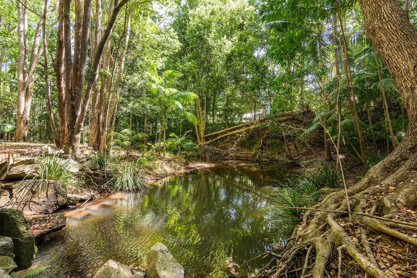 Additional image 23 of 14 Adcocks Road, Stokers Siding NSW 2484