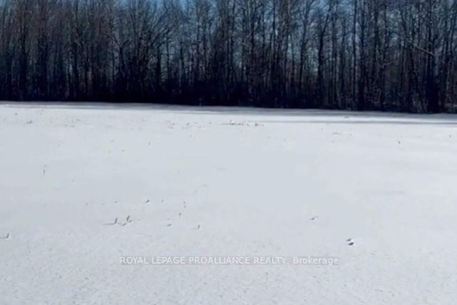 Additional image 16 of 1306 Sulphide Road