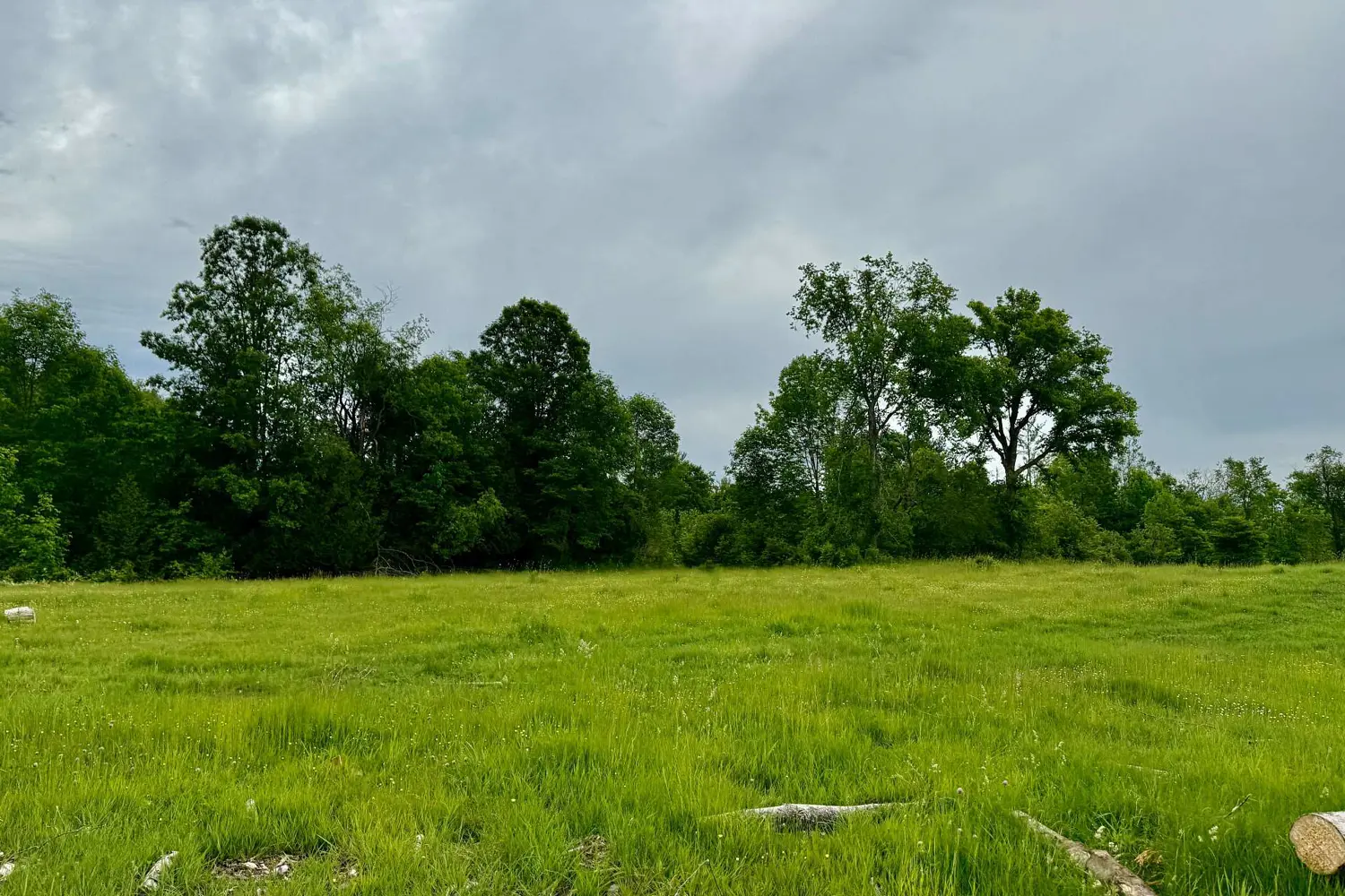 Additional image 12 of 00 Cooper Road