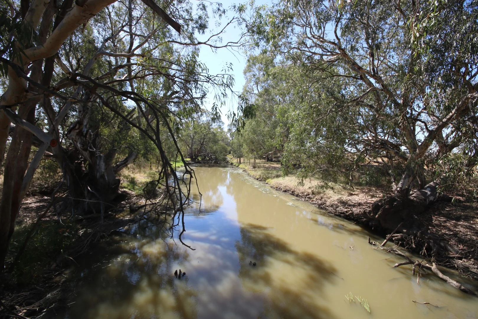 221 Frosts Road, Canary Island VIC 3537