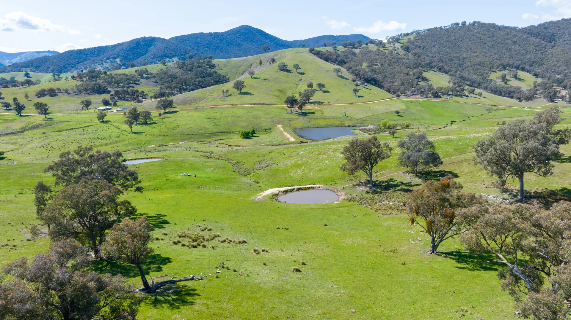 Additional image 5 of 'Part Tarragatta' Vincents Road, Talgarno VIC 3691