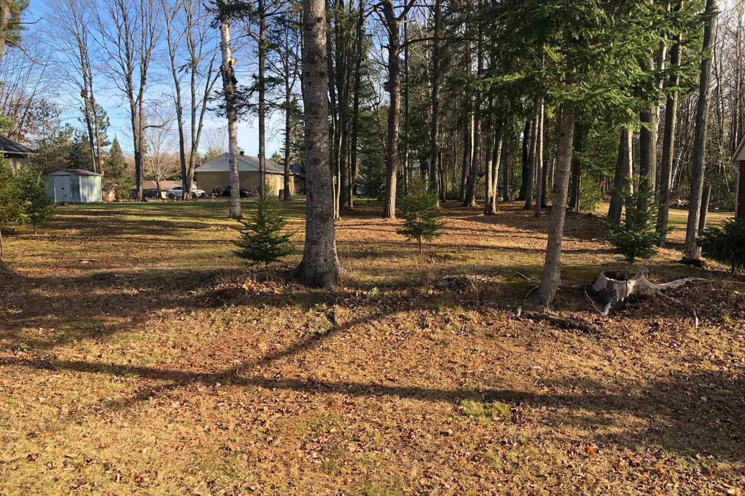65 Vaan Drive photo 4