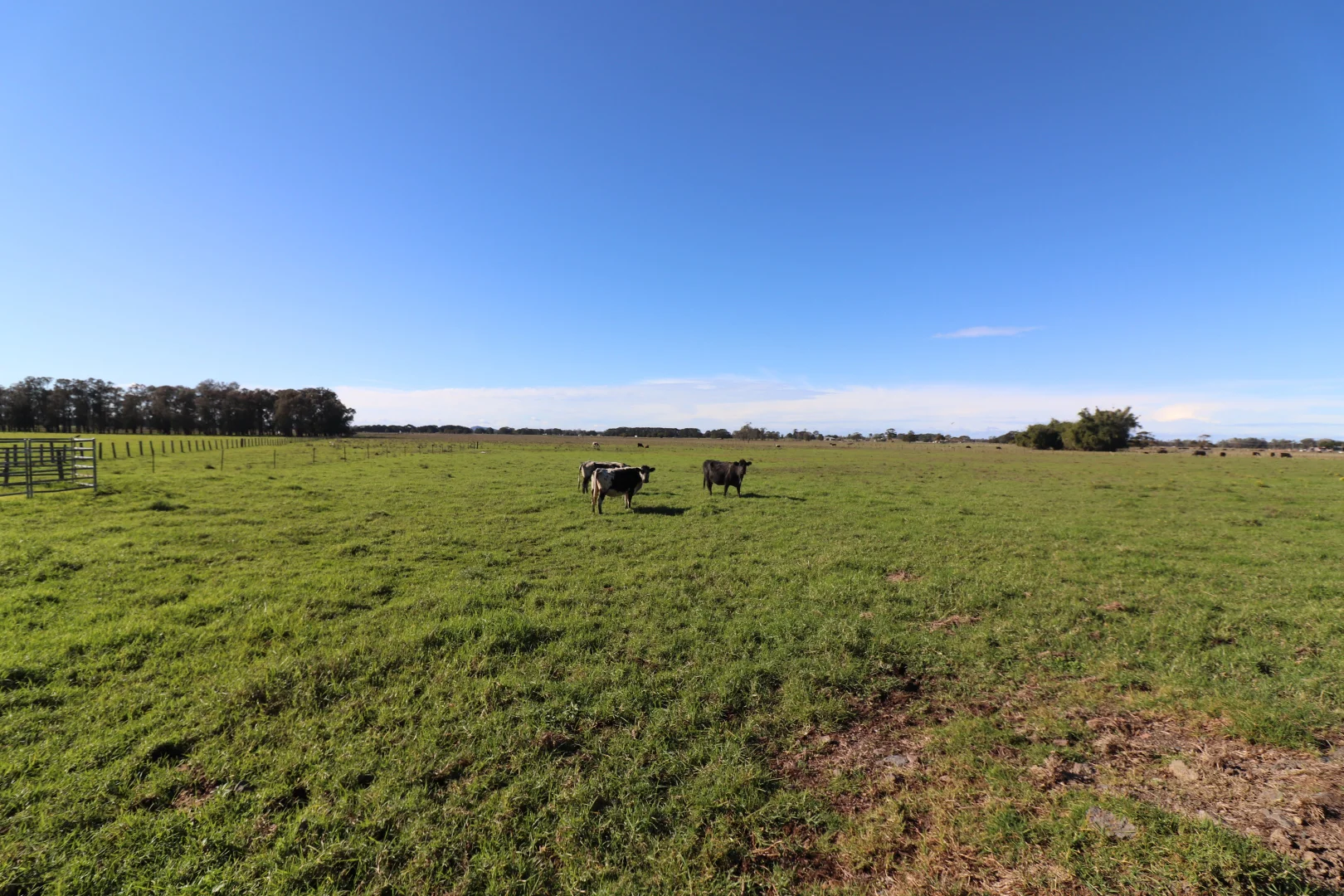 Additional image 8 of Lot/2 Austral Eden Inner Road, Austral Eden NSW 2440