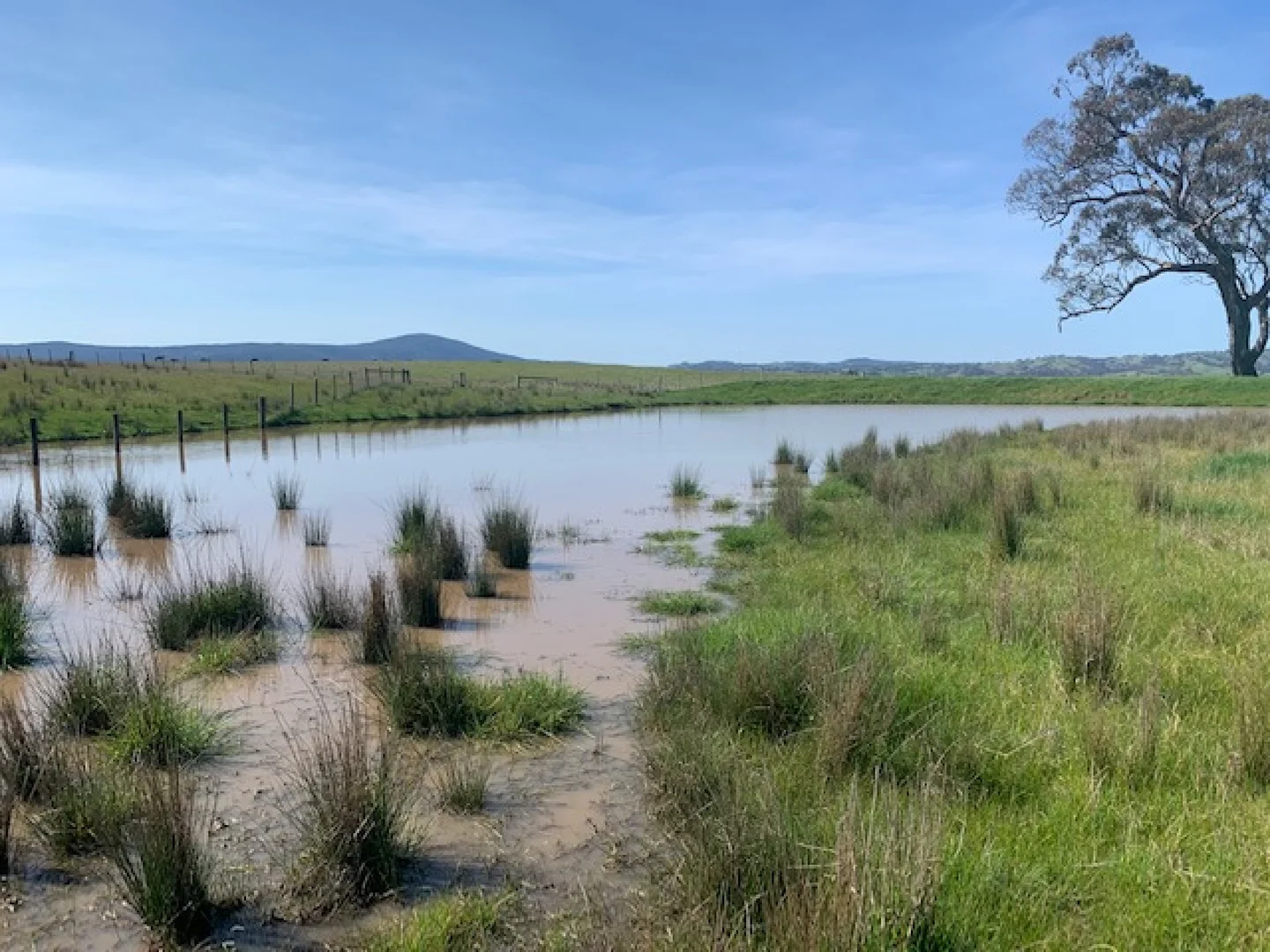 Additional image 10 of 105 Broadford Glenaroua Road, Broadford VIC 3658