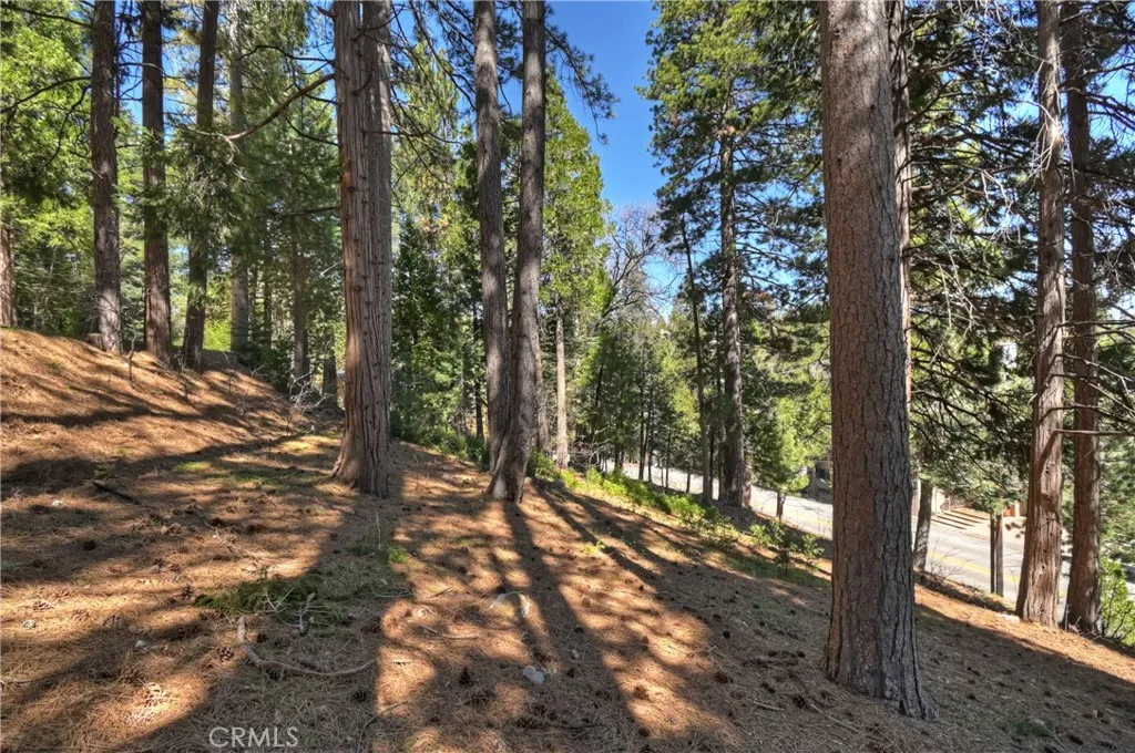170 Fairway Dr, Lake Arrowhead, CA 92352