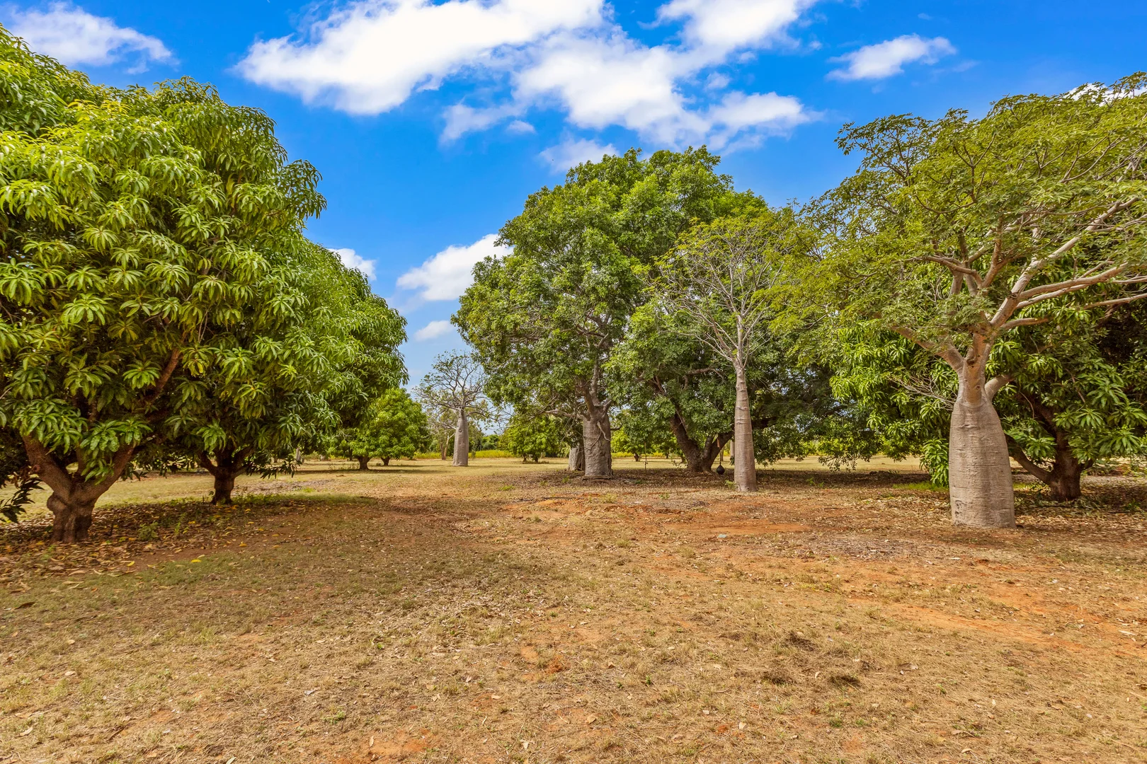 Additional image 18 of 9 Wright Street, Derby WA 6728