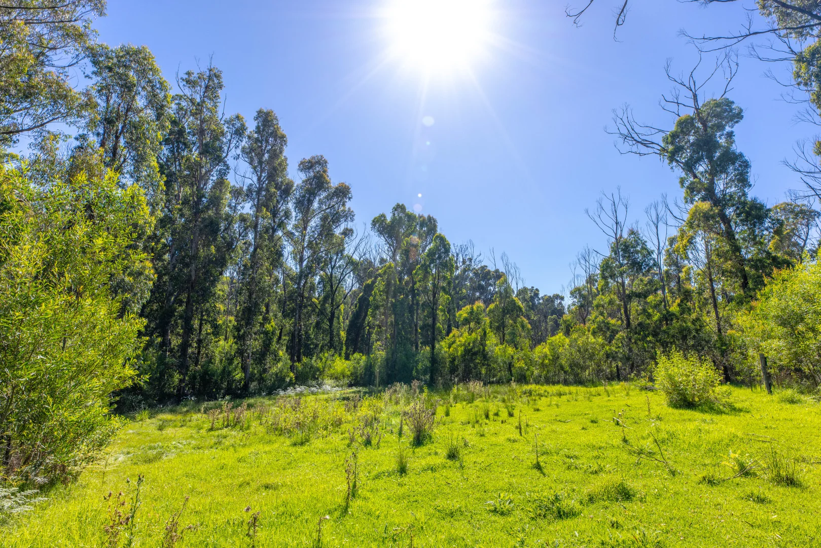 Additional image 13 of Lot 4 Braidwood Road, Sassafras NSW 2622