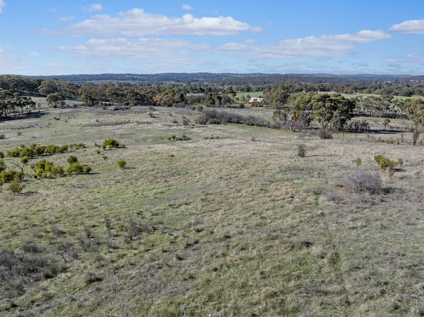 Additional image 12 of Lot 102 Benbournie Road, Armagh SA 5453